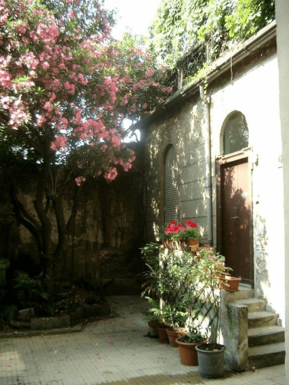 immagine del palazzo il vivaio